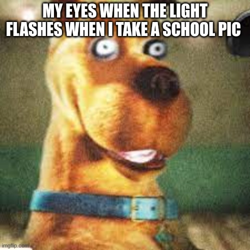 my eyes | MY EYES WHEN THE LIGHT FLASHES WHEN I TAKE A SCHOOL PIC | image tagged in oof | made w/ Imgflip meme maker