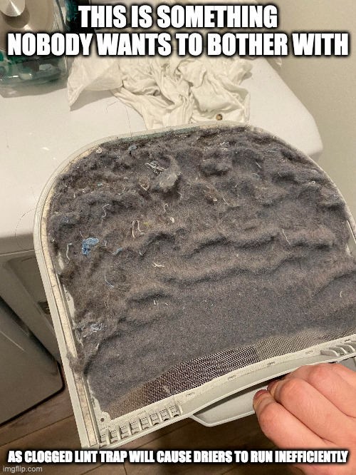 Clogged Lint Trap | THIS IS SOMETHING NOBODY WANTS TO BOTHER WITH; AS CLOGGED LINT TRAP WILL CAUSE DRIERS TO RUN INEFFICIENTLY | image tagged in lint,memes,laundry | made w/ Imgflip meme maker