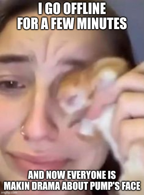i've seen it. | I GO OFFLINE FOR A FEW MINUTES; AND NOW EVERYONE IS MAKIN DRAMA ABOUT PUMP'S FACE | image tagged in hampter cry | made w/ Imgflip meme maker