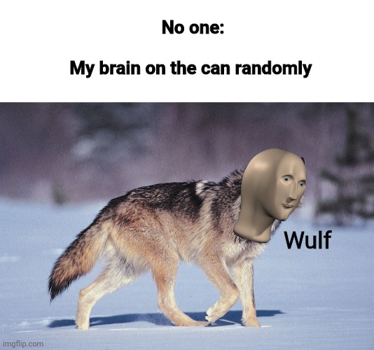 Wulf | No one:
 
My brain on the can randomly; Wulf | image tagged in blank white template,wolf,meme man | made w/ Imgflip meme maker