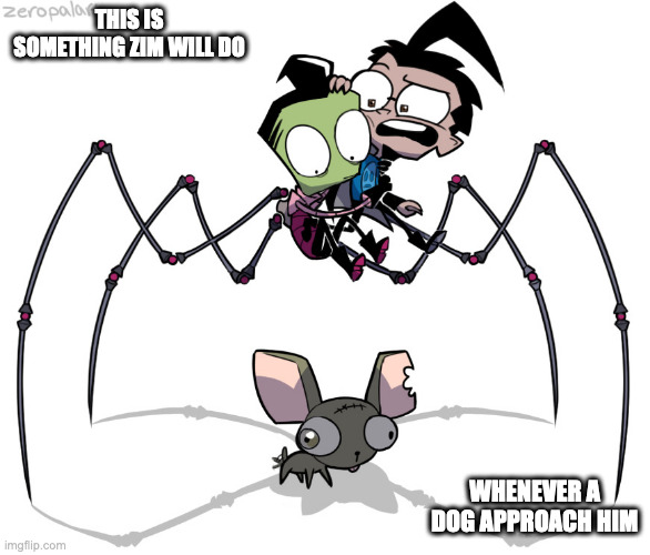 Zim Avoids Chihuahua | THIS IS SOMETHING ZIM WILL DO; WHENEVER A DOG APPROACH HIM | image tagged in invader zim,zim,dib,memes | made w/ Imgflip meme maker