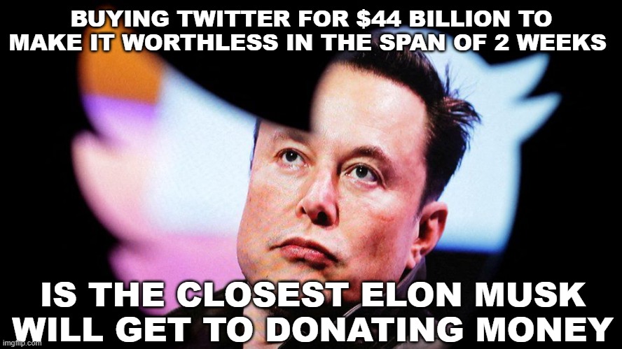 Musk Twitter | BUYING TWITTER FOR $44 BILLION TO MAKE IT WORTHLESS IN THE SPAN OF 2 WEEKS; IS THE CLOSEST ELON MUSK WILL GET TO DONATING MONEY | image tagged in elon musk,twitter,failure,lost money | made w/ Imgflip meme maker