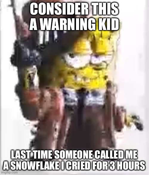 Gangsta spongebob | CONSIDER THIS A WARNING KID; LAST TIME SOMEONE CALLED ME A SNOWFLAKE I CRIED FOR 3 HOURS | image tagged in gangsta spongebob | made w/ Imgflip meme maker