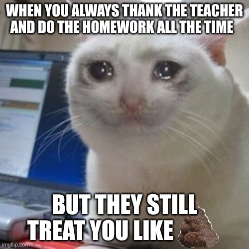 No kind teacher 4 me :( | WHEN YOU ALWAYS THANK THE TEACHER AND DO THE HOMEWORK ALL THE TIME; BUT THEY STILL TREAT YOU LIKE | image tagged in crying cat,sad | made w/ Imgflip meme maker
