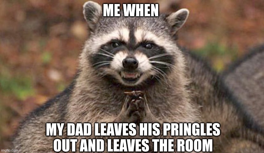 sneaky | ME WHEN; MY DAD LEAVES HIS PRINGLES OUT AND LEAVES THE ROOM | image tagged in sneaky raccoon | made w/ Imgflip meme maker