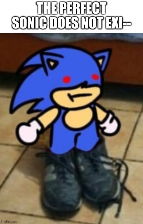 (I think i'm going to start up again!) | THE PERFECT SONIC DOES NOT EXI-- | image tagged in blank white template,drippin sunk | made w/ Imgflip meme maker