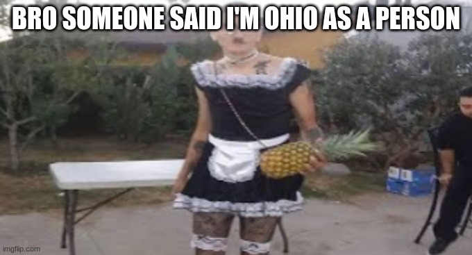 maid hitler | BRO SOMEONE SAID I'M OHIO AS A PERSON | image tagged in maid hitler | made w/ Imgflip meme maker