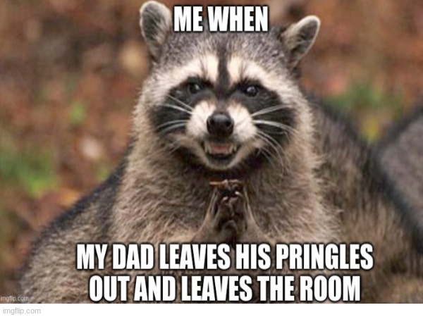 sneaky raccon | image tagged in sneaky | made w/ Imgflip meme maker