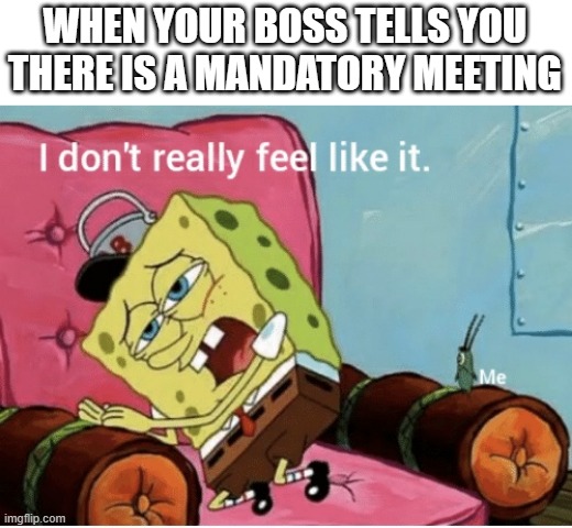 no work spongebob | WHEN YOUR BOSS TELLS YOU THERE IS A MANDATORY MEETING | image tagged in nah i don t really feel like it,spongebob,work,funny | made w/ Imgflip meme maker
