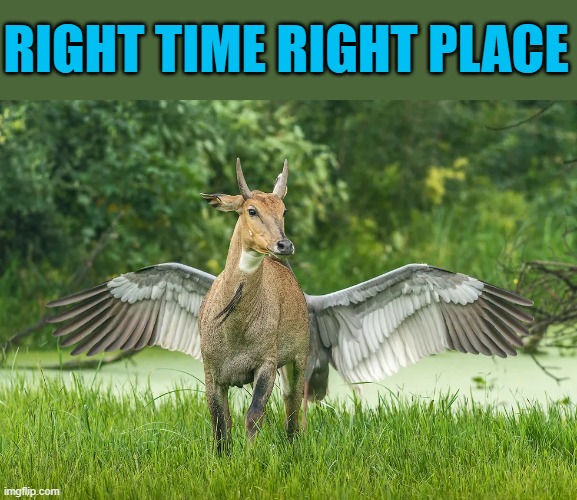 perfect timing. | RIGHT TIME RIGHT PLACE | image tagged in right time right place,kewlew | made w/ Imgflip meme maker