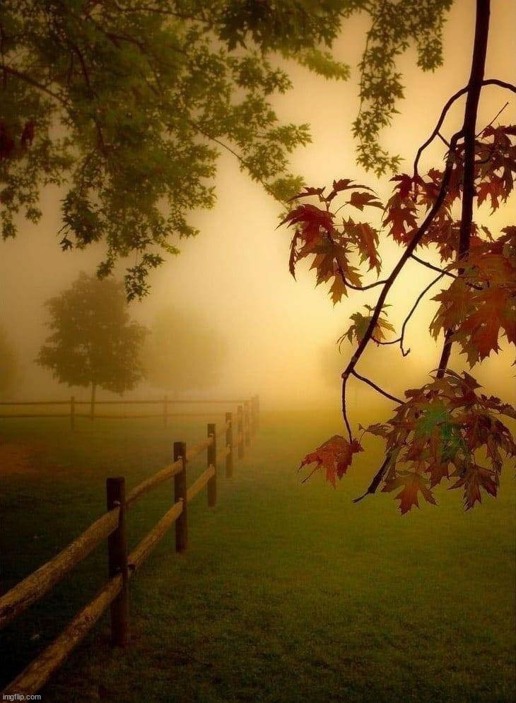 image tagged in awesome | made w/ Imgflip meme maker