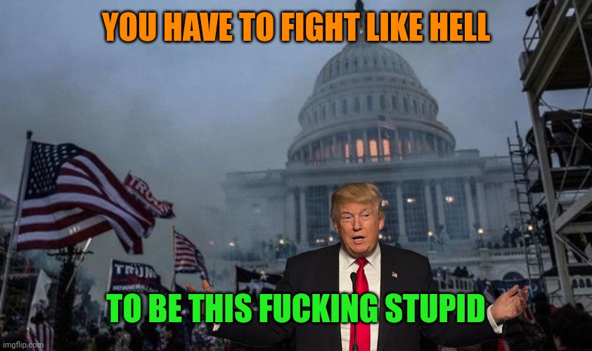 misconstrued coup | YOU HAVE TO FIGHT LIKE HELL TO BE THIS FUCKING STUPID | image tagged in misconstrued coup | made w/ Imgflip meme maker