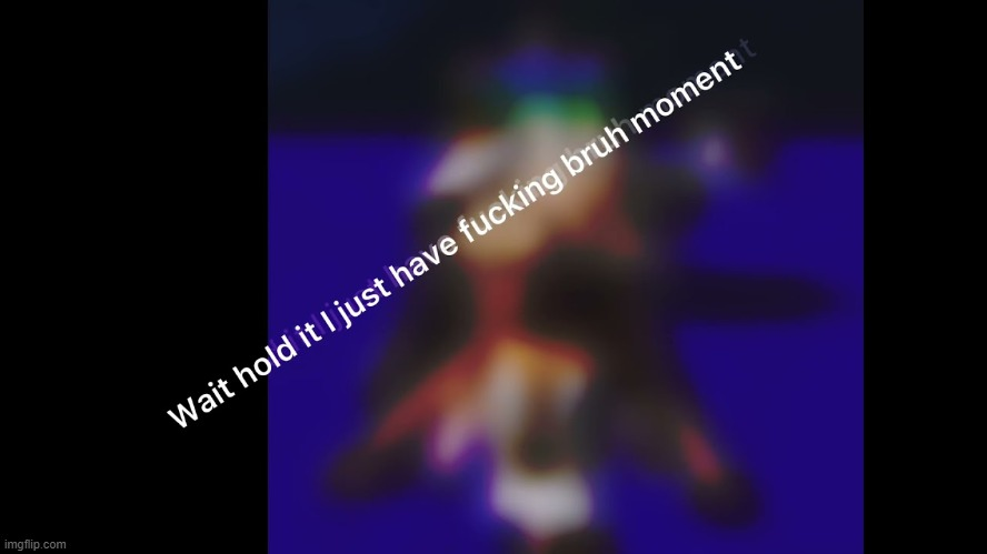 High Quality wait hold it i just have fucking bruh moment Blank Meme Template