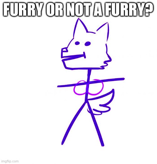 My Persona! | FURRY OR NOT A FURRY? | made w/ Imgflip meme maker