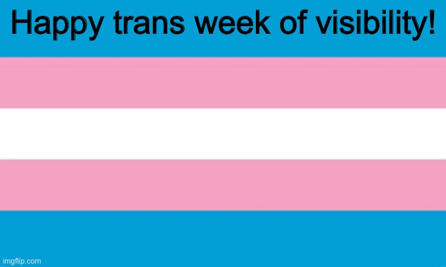 . | Happy trans week of visibility! | image tagged in transgender flag,trans | made w/ Imgflip meme maker