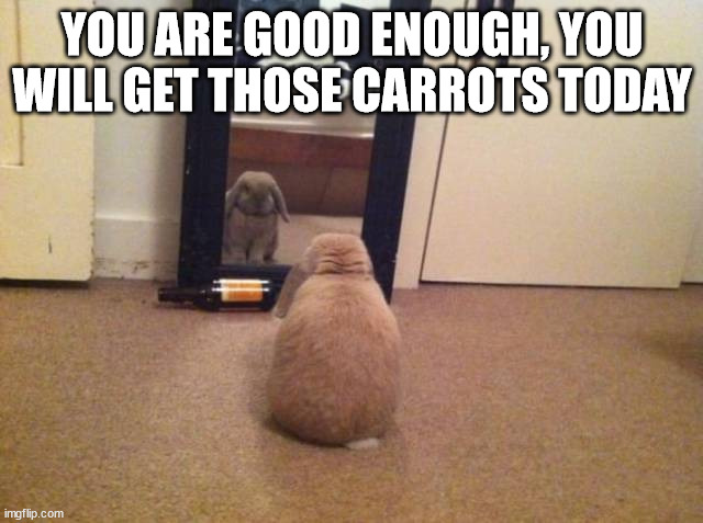 YOU ARE GOOD ENOUGH, YOU WILL GET THOSE CARROTS TODAY | image tagged in bunny | made w/ Imgflip meme maker