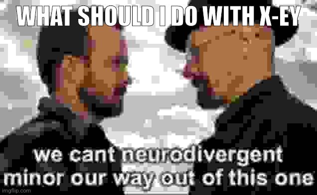 we cant neurodivergent minor our way out of this one | WHAT SHOULD I DO WITH X-EY | image tagged in we cant neurodivergent minor our way out of this one | made w/ Imgflip meme maker