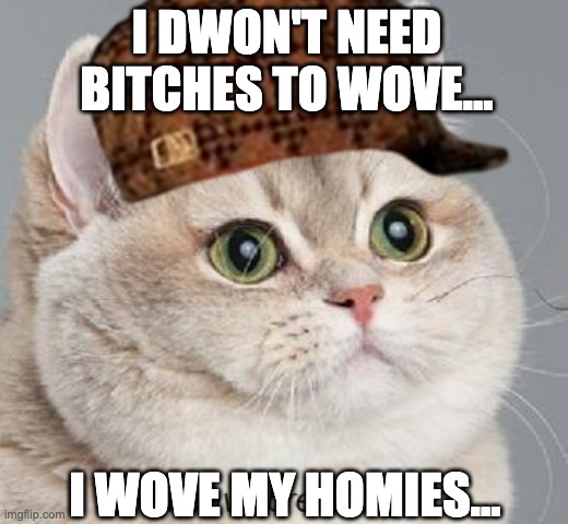Homie Lovin' Cat | I DWON'T NEED BITCHES TO WOVE... I WOVE MY HOMIES... | image tagged in no bitch october/november | made w/ Imgflip meme maker