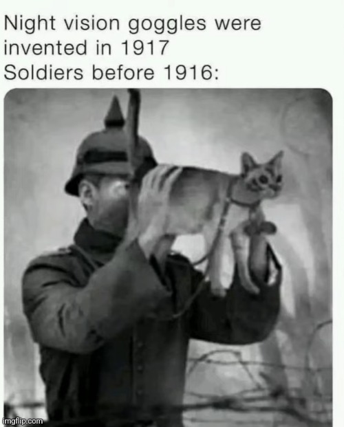 image tagged in funny memes | made w/ Imgflip meme maker