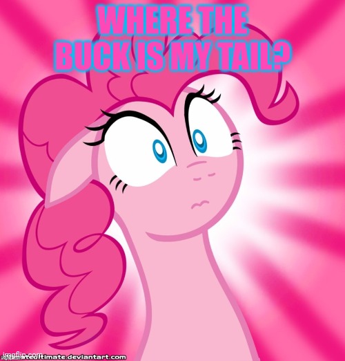 Shocked Pinkie Pie | WHERE THE BUCK IS MY TAIL? | image tagged in shocked pinkie pie | made w/ Imgflip meme maker