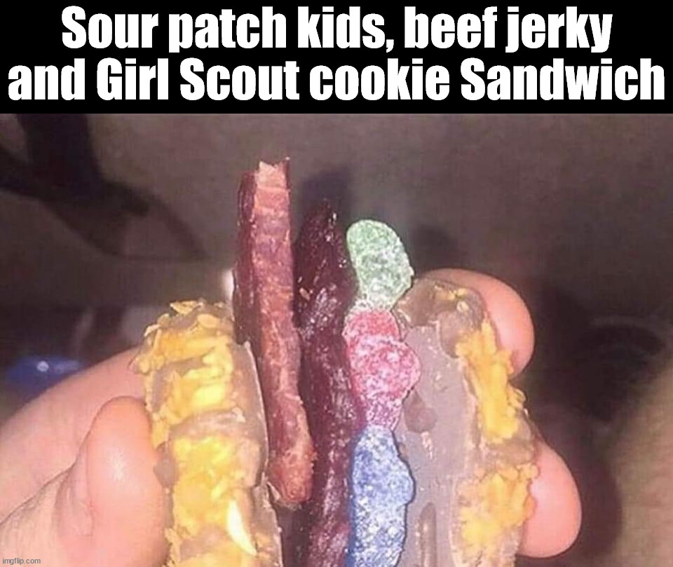 Wanna try it? | Sour patch kids, beef jerky and Girl Scout cookie Sandwich | image tagged in middle school | made w/ Imgflip meme maker