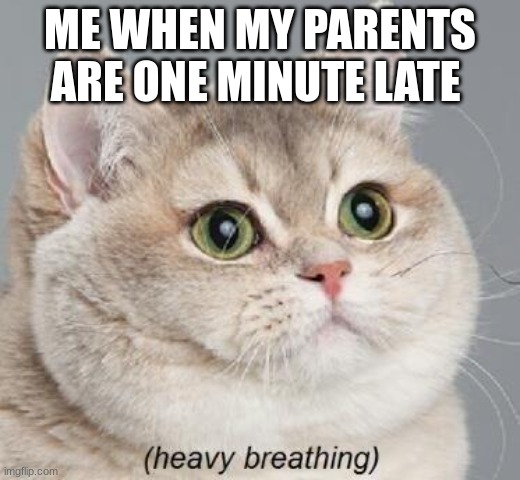 Every child in the world | ME WHEN MY PARENTS ARE ONE MINUTE LATE | image tagged in memes,heavy breathing cat | made w/ Imgflip meme maker