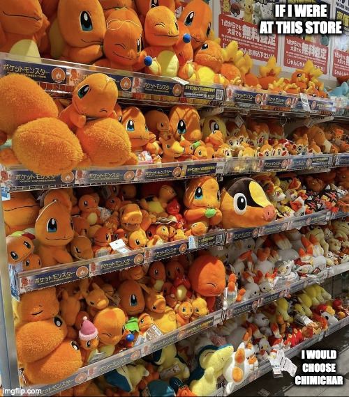 Rack of Fire Starters | IF I WERE AT THIS STORE; I WOULD CHOOSE CHIMICHAR | image tagged in pokemon,memes | made w/ Imgflip meme maker