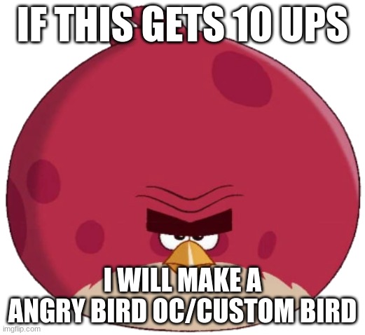 Terence (Angry Birds Toons style) | IF THIS GETS 10 UPS; I WILL MAKE A ANGRY BIRD OC/CUSTOM BIRD | image tagged in terence angry birds toons style | made w/ Imgflip meme maker