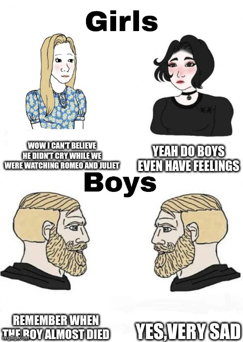 Girls vs Boys | WOW I CAN'T BELIEVE HE DIDN'T CRY WHILE WE WERE WATCHING ROMEO AND JULIET; YEAH DO BOYS EVEN HAVE FEELINGS; YES,VERY SAD; REMEMBER WHEN THE BOY ALMOST DIED | image tagged in girls vs boys | made w/ Imgflip meme maker