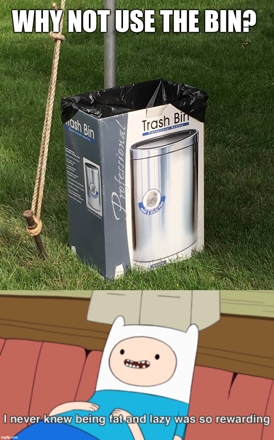 WHY NOT USE THE BIN? | image tagged in i never knew being fat and lazy was so rewarding,you had one job | made w/ Imgflip meme maker