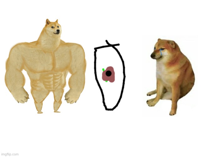 image tagged in memes,buff doge vs cheems | made w/ Imgflip meme maker