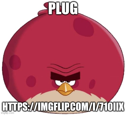 Terence (Angry Birds Toons style) | PLUG; HTTPS://IMGFLIP.COM/I/710IIX | image tagged in terence angry birds toons style | made w/ Imgflip meme maker