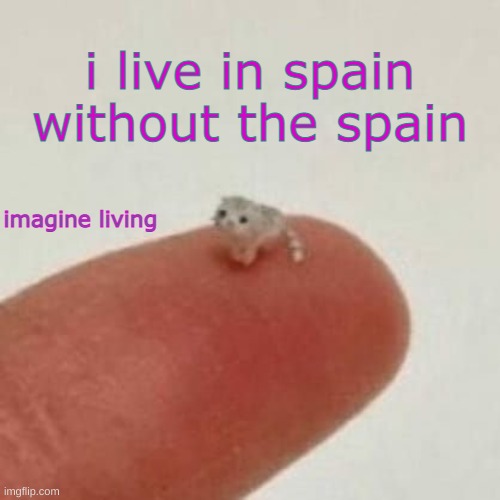 drm's el wiwi template | i live in spain without the spain; imagine living | image tagged in drm's el wiwi template | made w/ Imgflip meme maker
