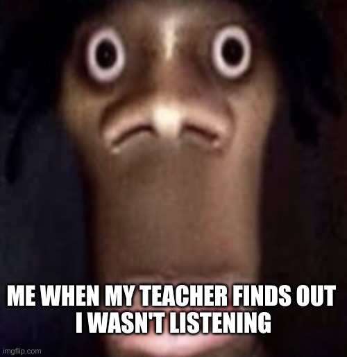 Quandale dingle | ME WHEN MY TEACHER FINDS OUT 
I WASN'T LISTENING | image tagged in quandale dingle | made w/ Imgflip meme maker