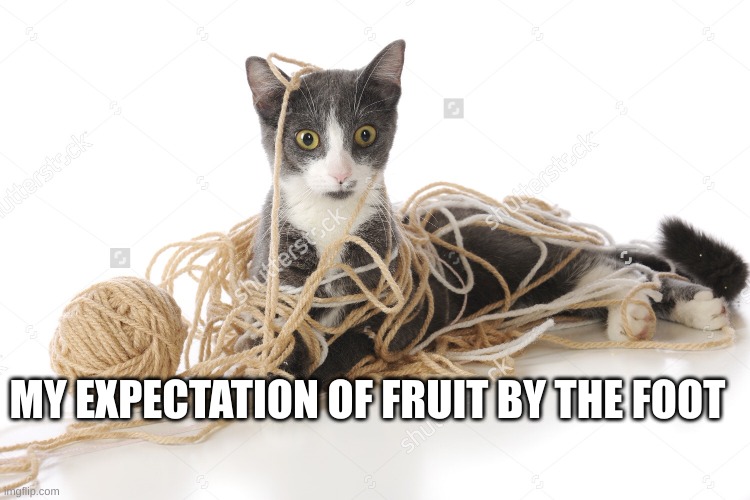 yeah | MY EXPECTATION OF FRUIT BY THE FOOT | image tagged in string | made w/ Imgflip meme maker