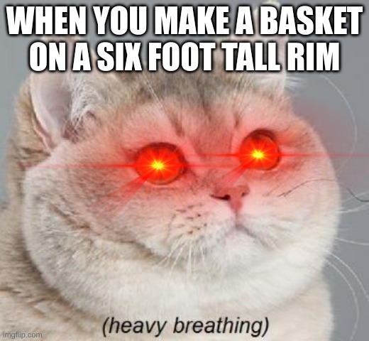 yep... | WHEN YOU MAKE A BASKET ON A SIX FOOT TALL RIM | image tagged in memes,heavy breathing cat | made w/ Imgflip meme maker