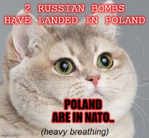 thats not good | 2 RUSSIAN BOMBS HAVE LANDED IN POLAND; POLAND ARE IN NATO.. | image tagged in memes,heavy breathing cat | made w/ Imgflip meme maker