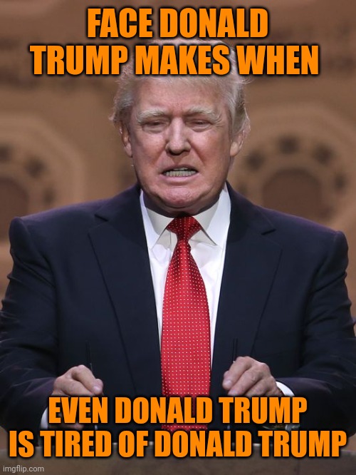 Donald Trump | FACE DONALD TRUMP MAKES WHEN EVEN DONALD TRUMP IS TIRED OF DONALD TRUMP | image tagged in donald trump | made w/ Imgflip meme maker
