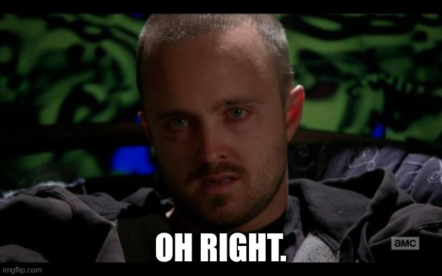 Jesse Pinkman, Bitch. | OH RIGHT. | image tagged in jesse pinkman bitch | made w/ Imgflip meme maker