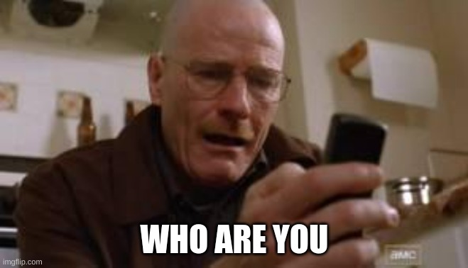 Walter White | WHO ARE YOU | image tagged in walter white | made w/ Imgflip meme maker