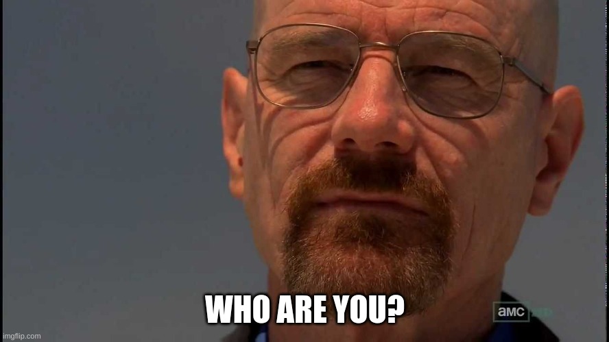 Heisenberg | WHO ARE YOU? | image tagged in heisenberg | made w/ Imgflip meme maker