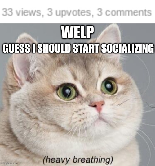 This is on one of my posts here | WELP; GUESS I SHOULD START SOCIALIZING | image tagged in memes,heavy breathing cat | made w/ Imgflip meme maker