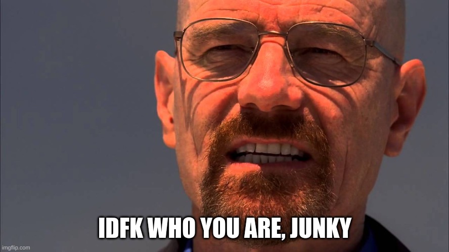 Walter White | IDFK WHO YOU ARE, JUNKY | image tagged in walter white | made w/ Imgflip meme maker