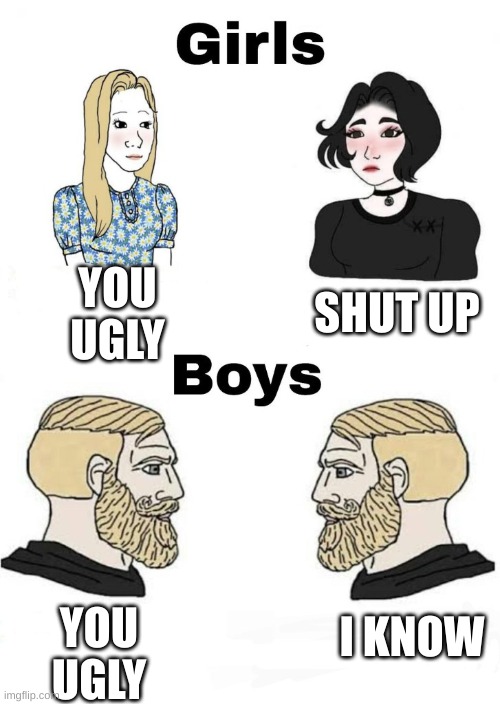 boys v girls | SHUT UP; YOU UGLY; YOU UGLY; I KNOW | image tagged in boys v girls | made w/ Imgflip meme maker