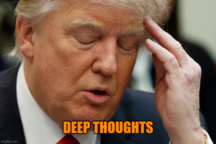 Trump thinking | DEEP THOUGHTS | image tagged in trump thinking | made w/ Imgflip meme maker