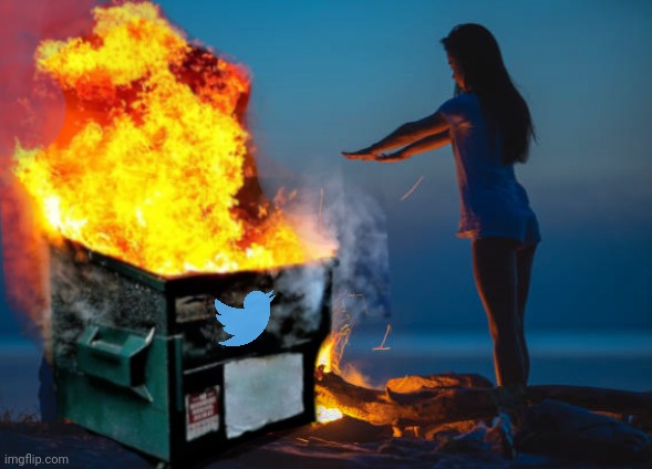 Bird App | image tagged in chaos,dumpster fire,cast it into the fire | made w/ Imgflip meme maker