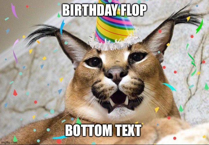 BIRTHDAY FLOP; BOTTOM TEXT | made w/ Imgflip meme maker