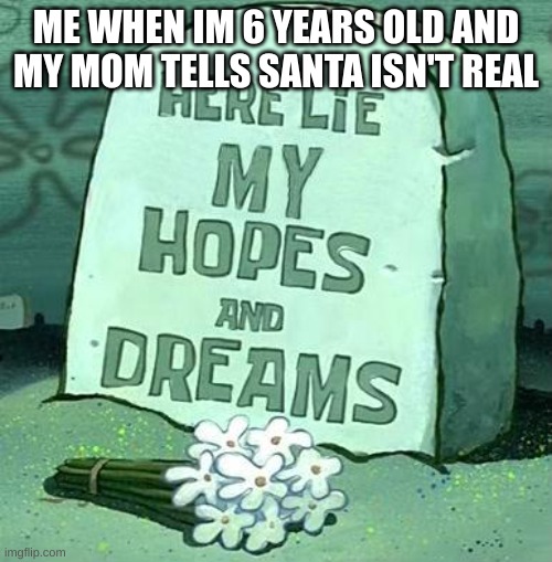 Here Lie My Hopes And Dreams | ME WHEN IM 6 YEARS OLD AND MY MOM TELLS SANTA ISN'T REAL | image tagged in here lie my hopes and dreams | made w/ Imgflip meme maker