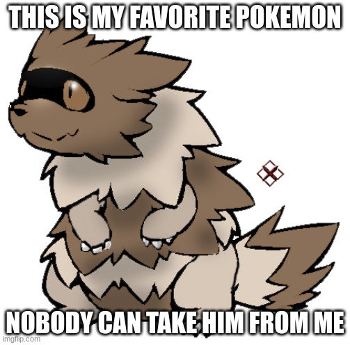 Zigzagoon | THIS IS MY FAVORITE POKEMON; NOBODY CAN TAKE HIM FROM ME | image tagged in zigzagoon | made w/ Imgflip meme maker