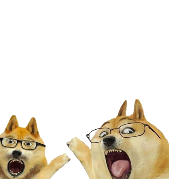High Quality Doge look meme. Blank Meme Template